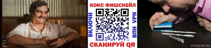 Кокаин FishScale  OMG зеркало  Новая Усмань  где купить  