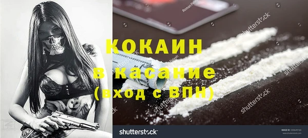 шишки Медногорск